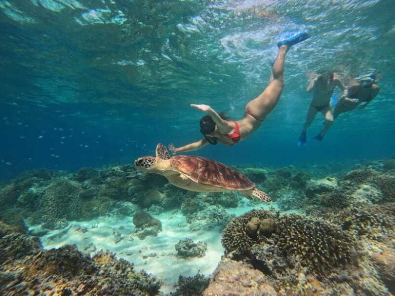 Gili Islands: SUNSET snorkeling trip and GOPRO shoot - The Value Proposition