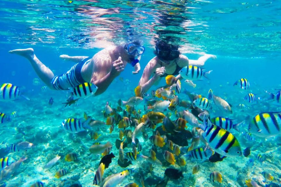 Gili Islands: Underwater Statues Cruise and Snorkeling - Key Highlights of the Tour