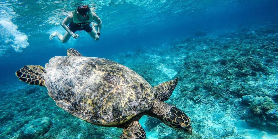 Gili Islands: Underwater Statues Cruise and Snorkeling - Snorkeling Experience Details