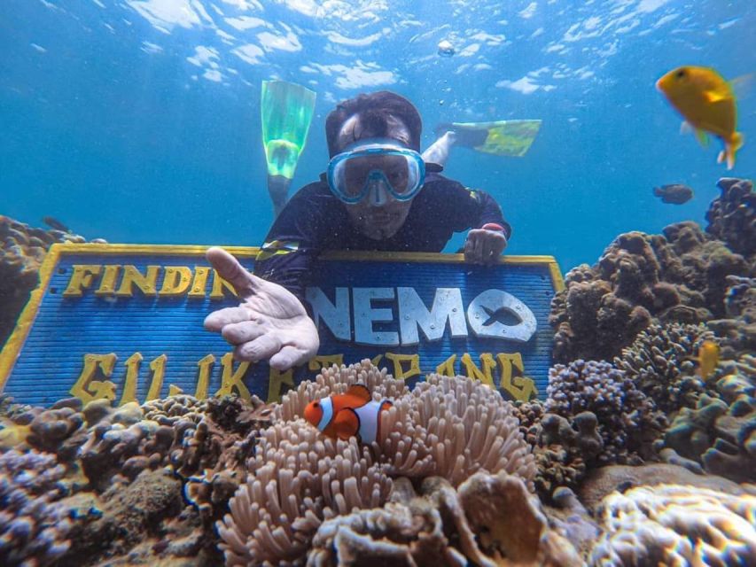 Gili Ketapang: Snorkeling & Local Island Wandering - Itinerary Details