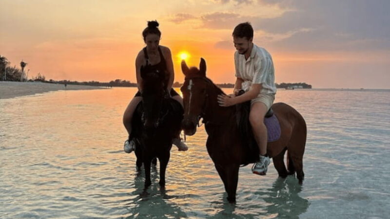 Gili Meno: 1-Hour Horse Riding Adventure - Key Points