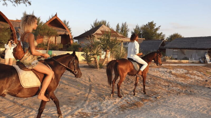 Gili Meno: 1-Hour Horse Riding Adventure - What the Experience Offers
