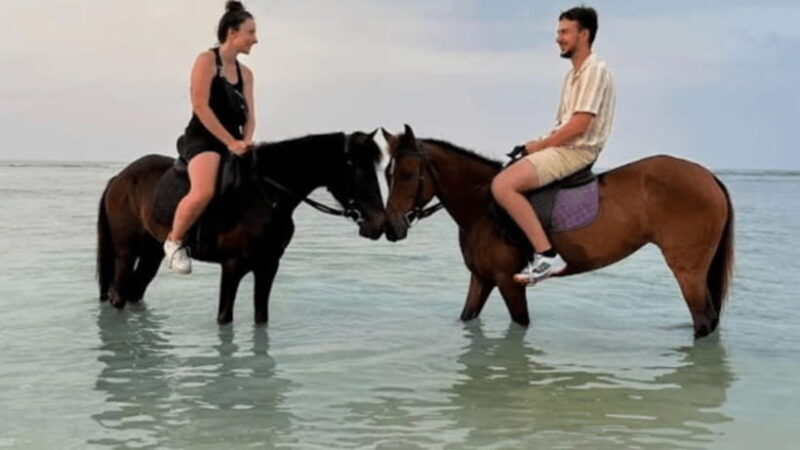 Gili Meno: 1-Hour Horse Riding Adventure - Why This Tour Stands Out