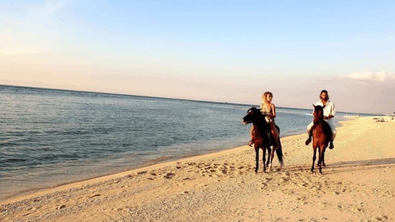 Gili Meno: 1-Hour Horse Riding Adventure - Who Would Love This Experience?