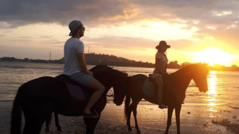 Gili Meno: 1-Hour Horse Riding Adventure - The Sum Up