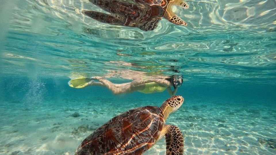 Gili Meno: Private Snorkeling Trips With Gopro Footage - Unique Experience Highlights