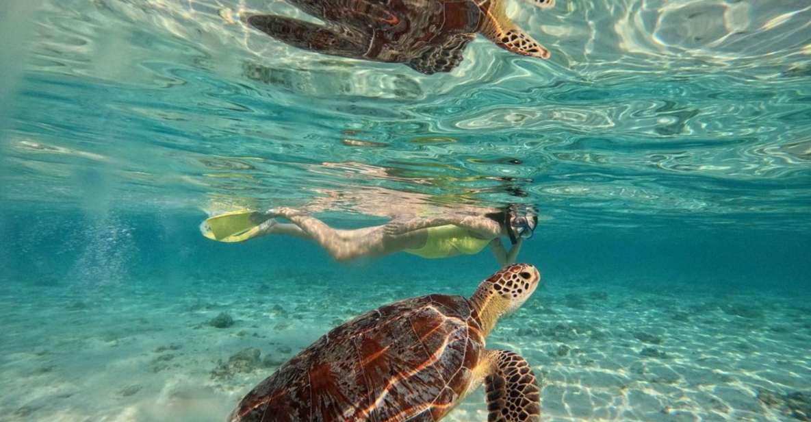 Gili Meno: Private Snorkeling Trips With Gopro Footage - Whats Included in Your Trip