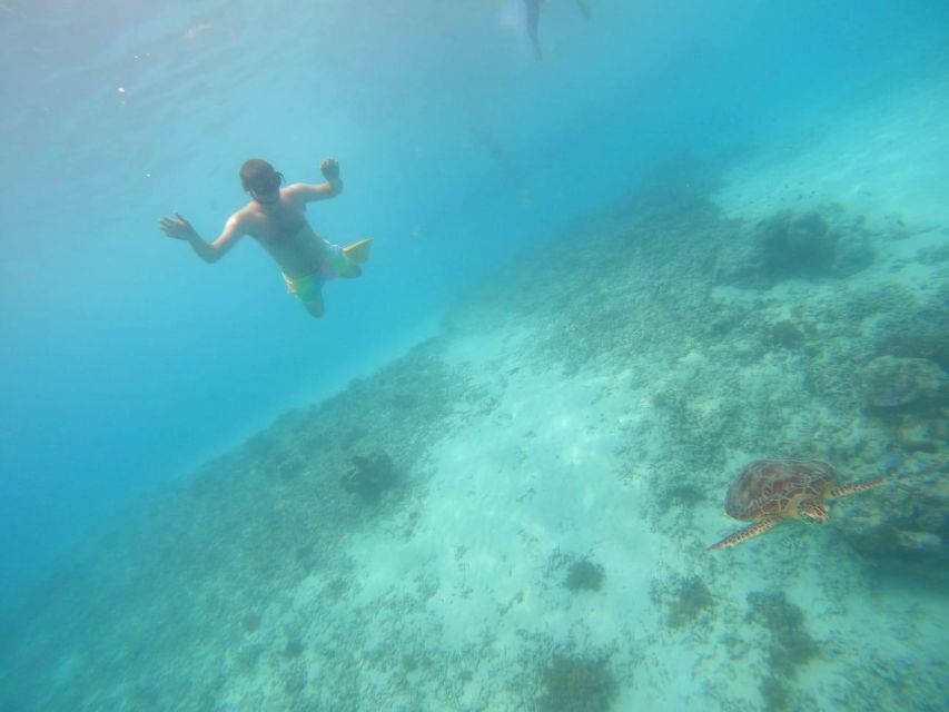 Gili T Island: Gili Snorkeling Day Trip Swim With Turtles - Itinerary Highlights