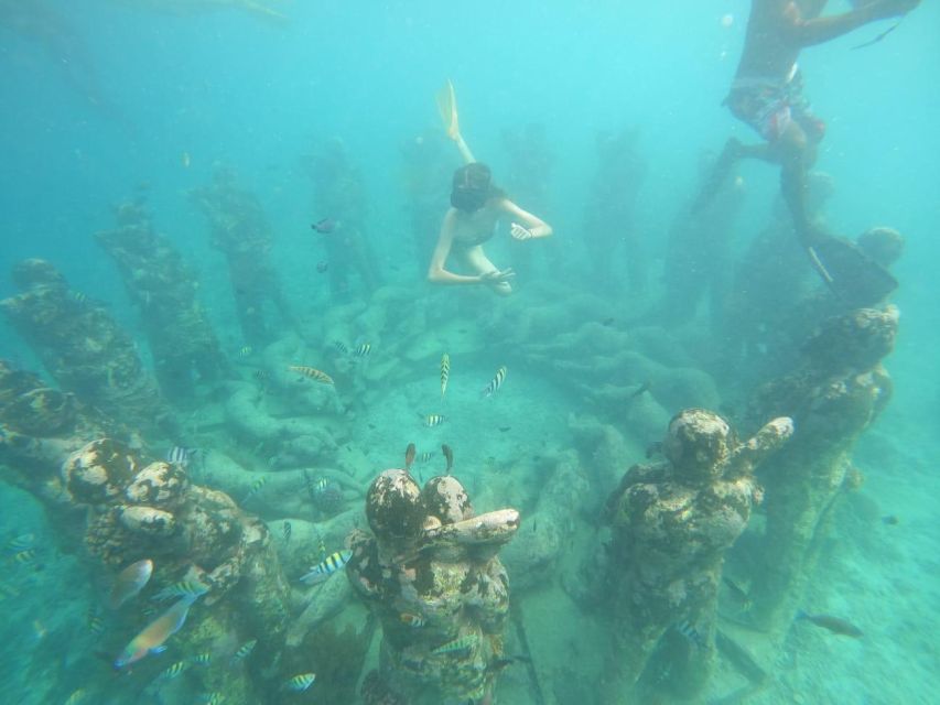 Gili T Island: Gili Snorkeling Day Trip Swim With Turtles - Equipment Provided