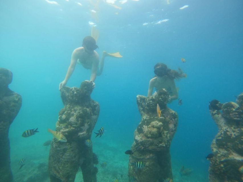 Gili T Island: Gili Snorkeling Day Trip Swim With Turtles - Booking and Cancellation