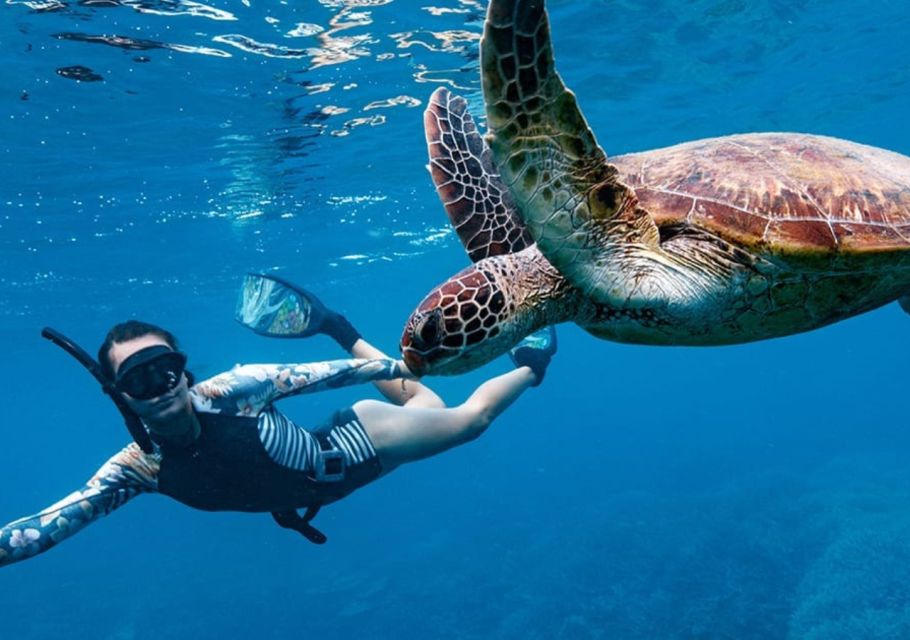 Gili T Island: Gili Snorkeling Day Trip Swim With Turtles - Frequently Asked Questions