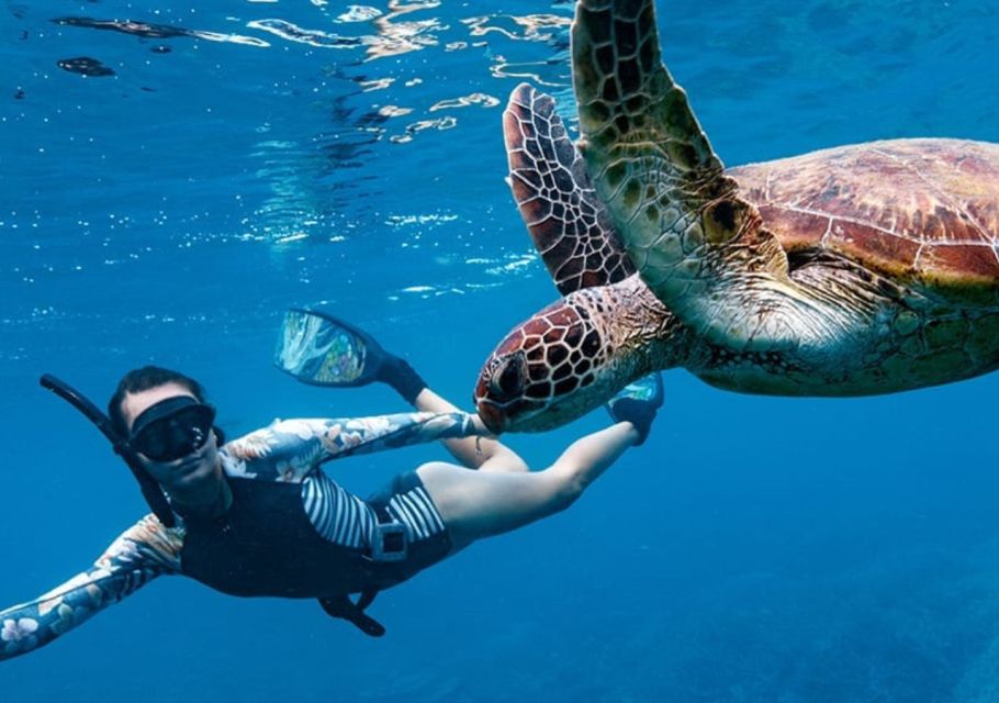 Gili T Island: The Thrilling Sunset Snorkeling Adventure - Guidelines for a Safe Experience
