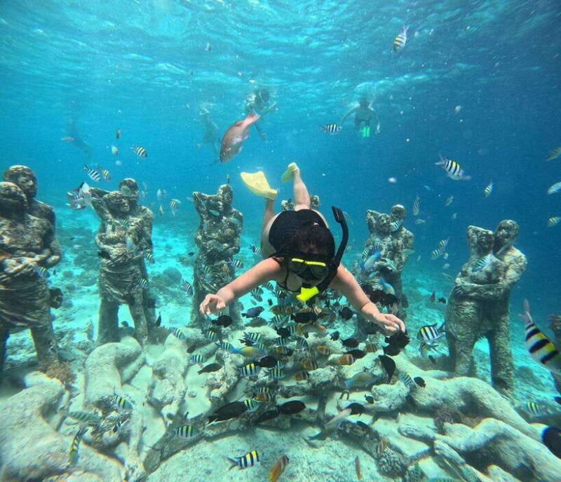 GILI T : PRIVATE SNORKELING TRIP 5 HOURS 3 GILI - Why the Price Reflects Good Value