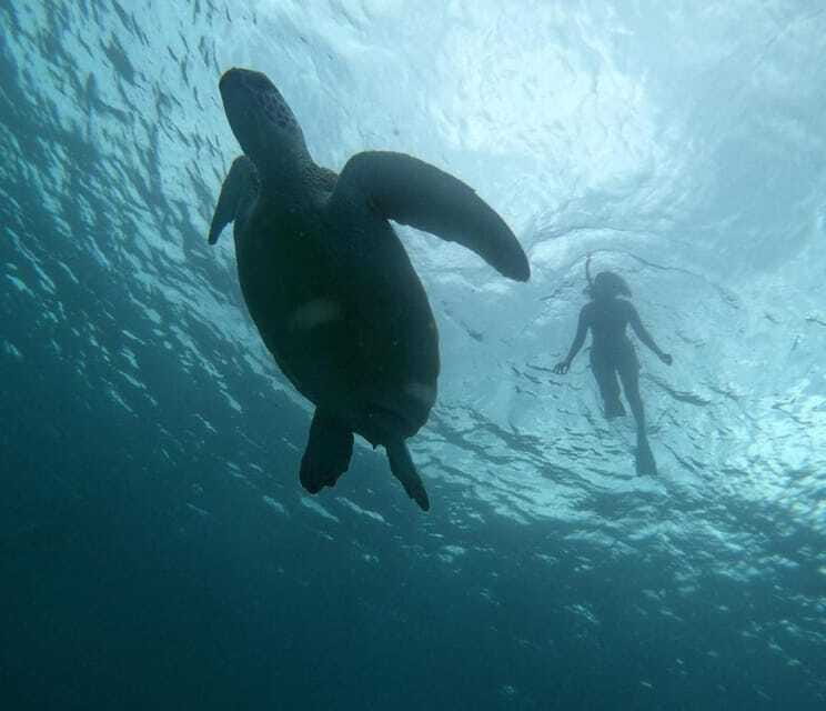 GILI T : PRIVATE SNORKELING TRIP 5 HOURS 3 GILI - The Experience Provider