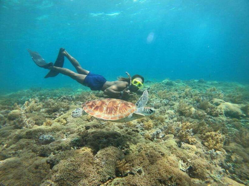 Gili T : Shared group snorkeling trip - What to Expect from the Gili T Snorkeling Trip