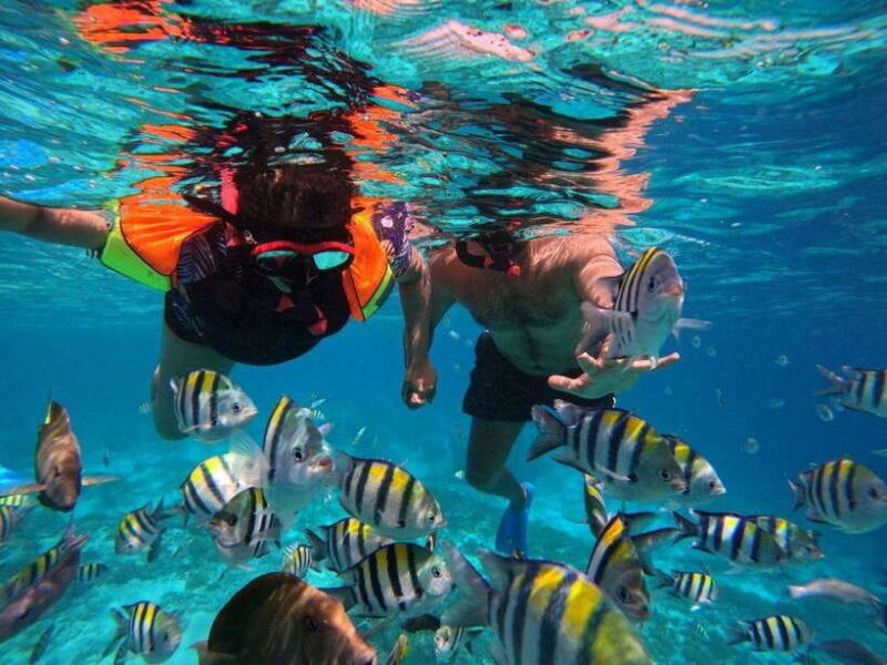 Gili T : Shared group snorkeling trip - Final Thoughts