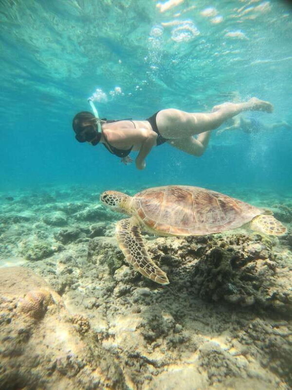 Gili T : Small group snorkeling trip - Key Points