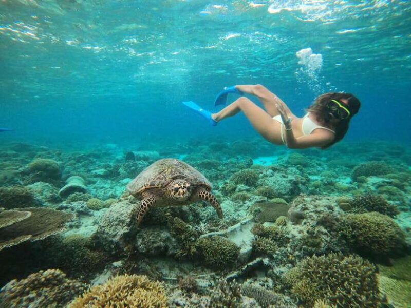 Gili T : Small group snorkeling trip - A Closer Look at the Snorkeling Adventure