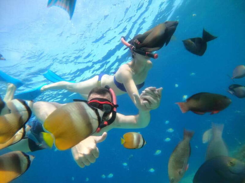 Gili T : Small group snorkeling trip - The Experience from Recent Reviews