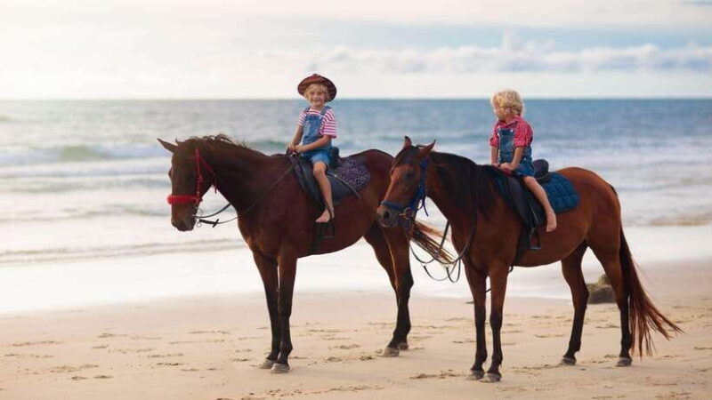 Gili Trawangan: Beach Horseback Riding with Pickup Hotel - An Authentic Gili Trawangan Adventure