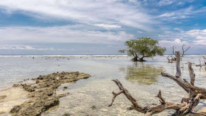 Gili Trawangan: Beach Horseback Riding with Pickup Hotel - Authentic Experiences Confirmed by Travelers