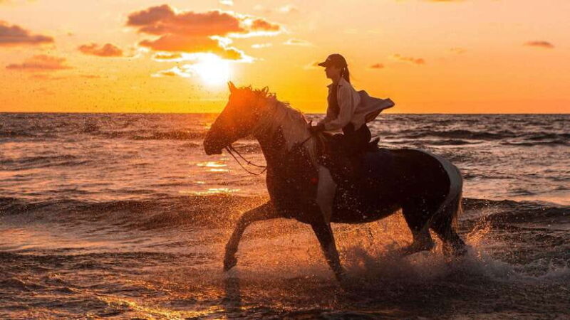 Gili Trawangan: Beach Horseback Riding with Pickup Hotel - The Sum Up: Who Will Love This Tour?