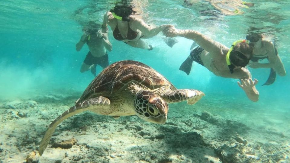 Gili Trawangan: Gili Island 3 Spots Snorkeling With Turtle - Key Points