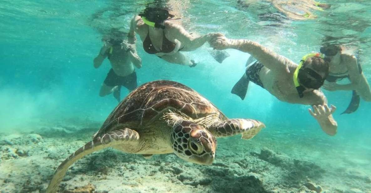 Gili Trawangan: Gili Island 3 Spots Snorkeling With Turtle - Snorkeling Spot Highlights