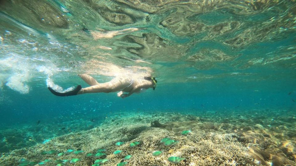 Gili Trawangan: Gili Island 3 Spots Snorkeling With Turtle - Coral Garden Exploration