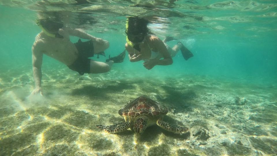 Gili Trawangan: Gili Island 3 Spots Snorkeling With Turtle - Booking Your Snorkeling Experience