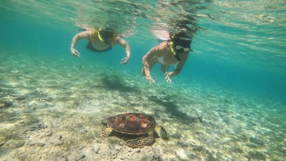Gili Trawangan: Gili Island 3 Spots Snorkeling With Turtle - Important Participant Information