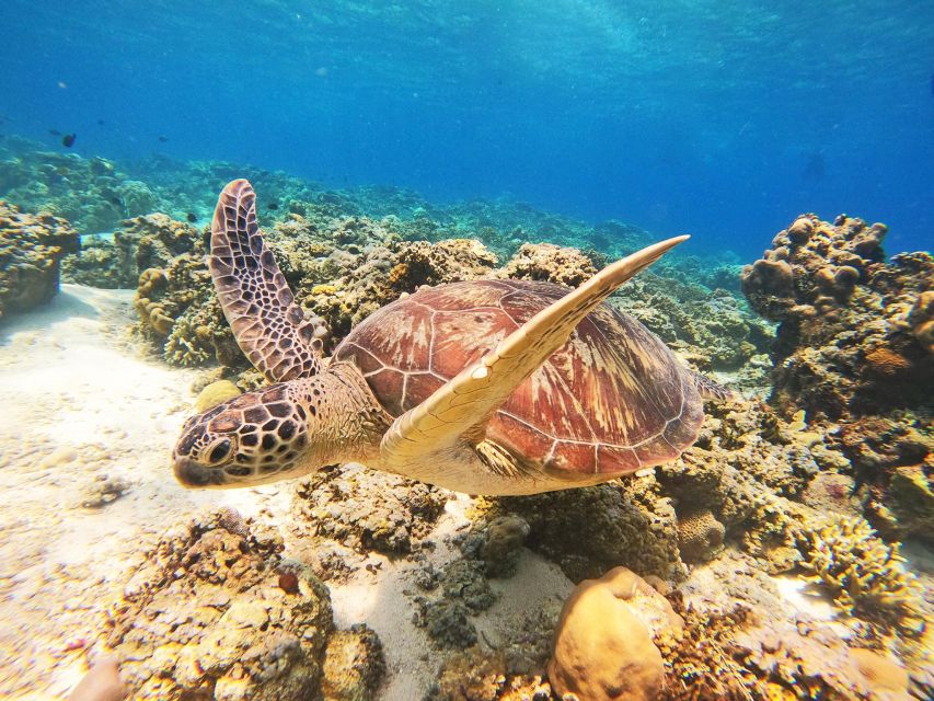 Gili Trawangan: Gili Islands Sunset Boat Tour and Snorkeling - Important Information