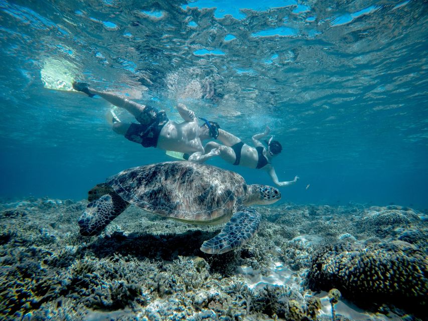 Gili Trawangan : Half Day Snorkeling With Turtle and Statue - Whats Included in the Tour