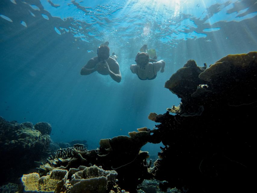 Gili Trawangan : Half Day Snorkeling With Turtle and Statue - Participant Age Restrictions