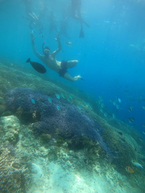 Gili Trawangan : Half Day Snorkeling With Turtle and Statue - Frequently Asked Questions