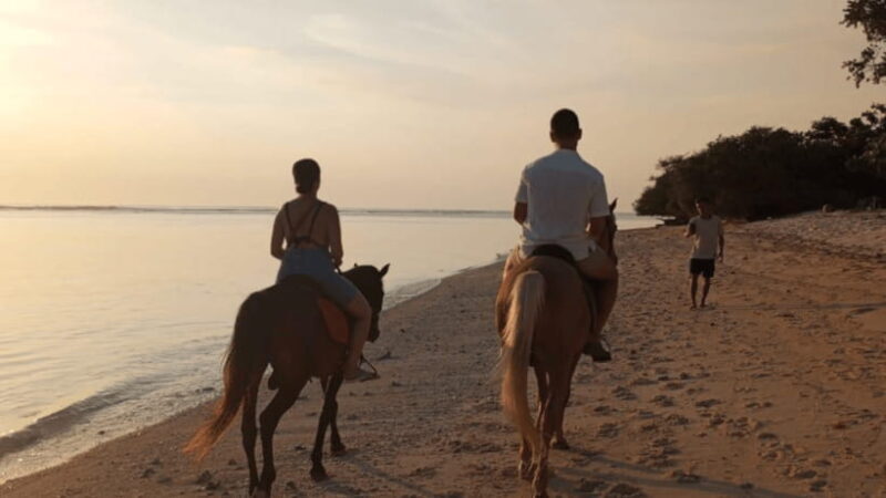 Gili Trawangan: Horse Riding on the Beach - Introduction  