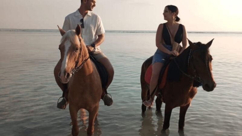 Gili Trawangan: Horse Riding on the Beach - What to Expect from the Horseback Beach Ride  