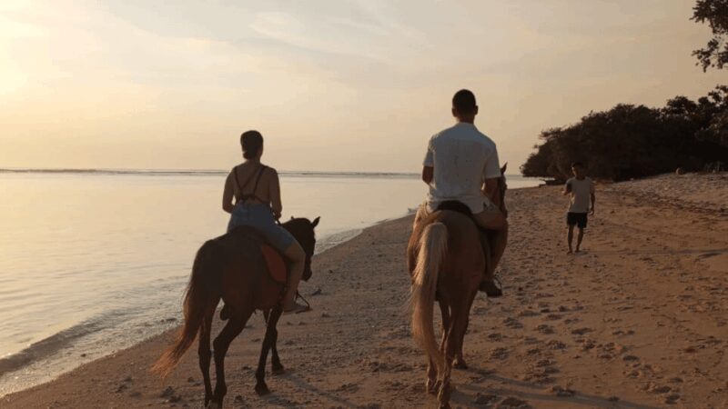 Gili Trawangan: Horse Riding on the Beach - Authentic Moments and Authenticity  