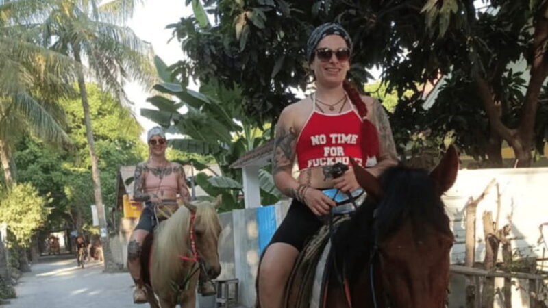 Gili Trawangan: Horse Riding on the Beach - Practical Details and Value  