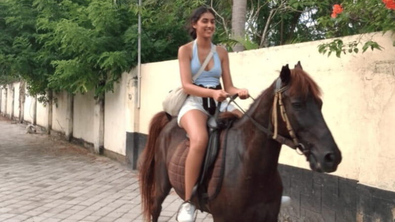 Gili Trawangan: Horse Riding on the Beach - Why This Experience Works  