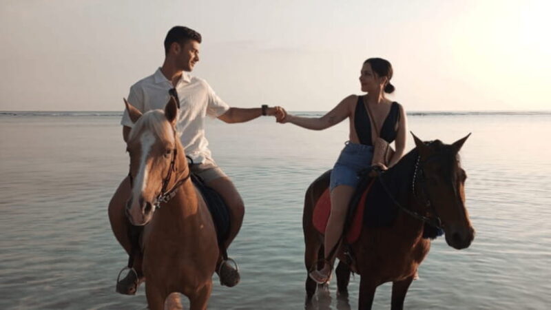Gili Trawangan: Horse Riding on the Beach - Who Should Consider This Tour?  