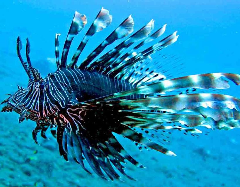 Gili Trawangan Lombok Day Tour Package - Key Points