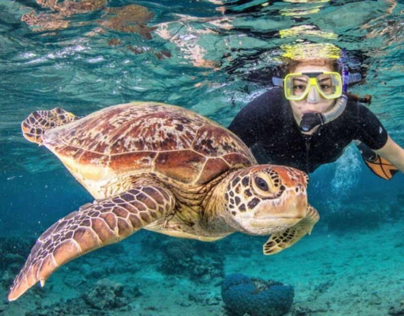 Gili Trawangan Lombok Day Tour Package - Included Services