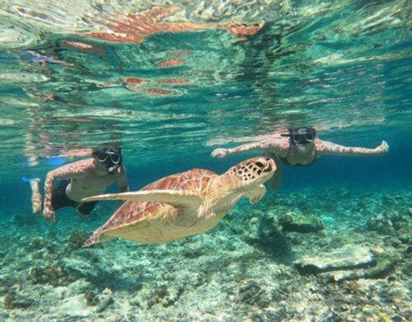 Gili Trawangan Lombok Day Tour Package - Transportation and Pickup