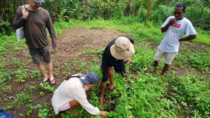 Gili Trawangan: Magic Mushroom Tour with Jungle Breakfast - Who Should Consider This Tour?