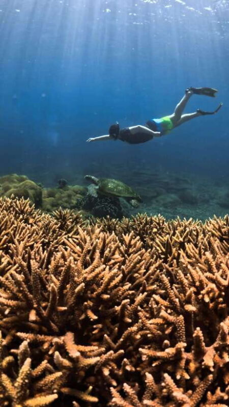 Gili Trawangan : Privat & Sharing Snorkeling Tour 3 Gili - An In-Depth Look at the Tour Experience  