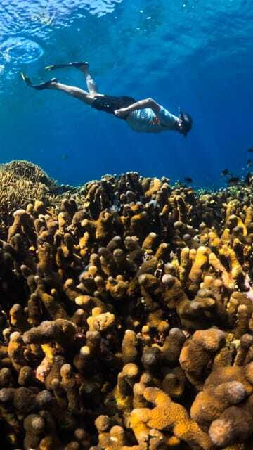 Gili Trawangan : Privat & Sharing Snorkeling Tour 3 Gili - FAQ  