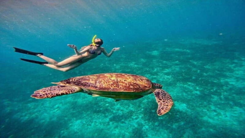 Gili Trawangan: Private Snorkeling 4 Spot with Gopro Camera - Key Points