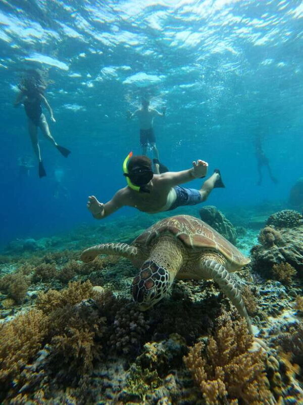 Gili Trawangan: Private Snorkeling (Coral, Statues, Turtles) - Key Points