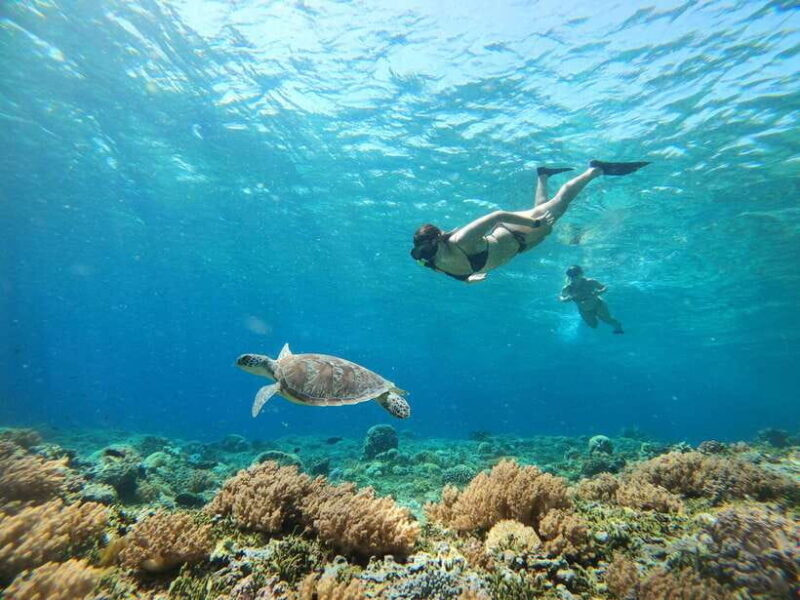 Gili Trawangan: Private Snorkeling (Coral, Statues, Turtles) - Practical Considerations